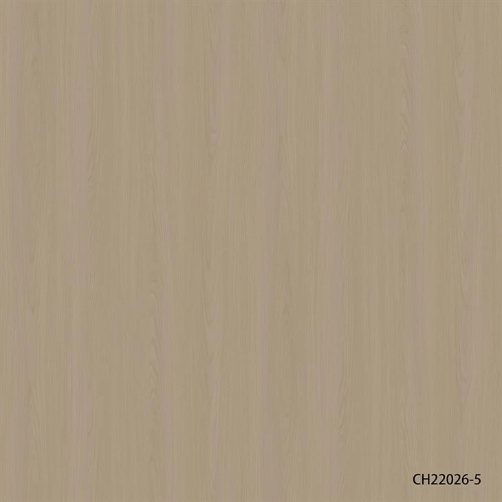 CH22026-5