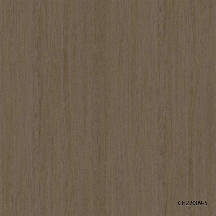 CH22009-5