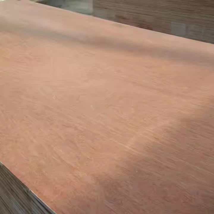 4x8 Plywood Commercial Bintangor Quality For Furniture
